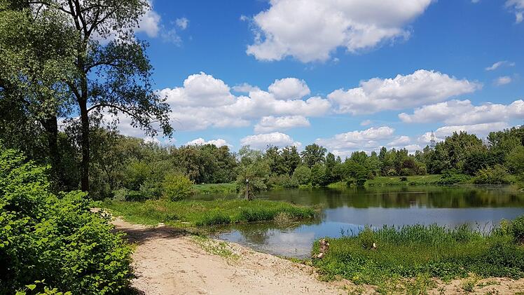 Der Fischereiverein Eggolsheim hat einen Weg bauen lassen, um Teile des Sees auszubaggern.  Fotos: Ekkehard Roepert