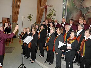 Der Gesangverein Liederkranz aus Memmelsdorf mit dem engagiert dirigierenden Arnold Millanovic.  ka