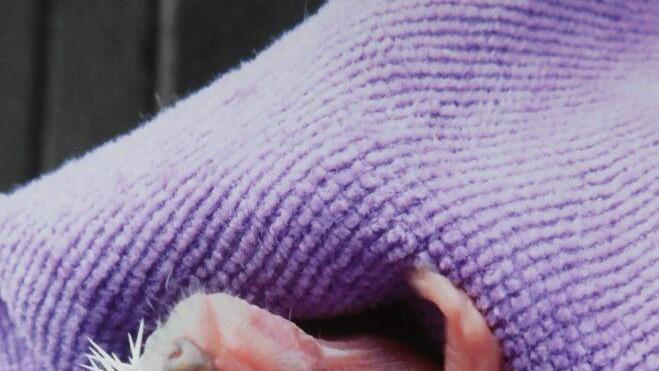 Repro: Barbara Herbst