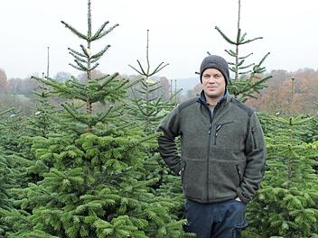 Georg Spielberger neben einem seiner Favoriten unter den Christbäumen Foto: Selina Helmrich