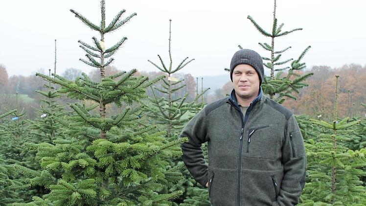 Georg Spielberger neben einem seiner Favoriten unter den Christbäumen Foto: Selina Helmrich