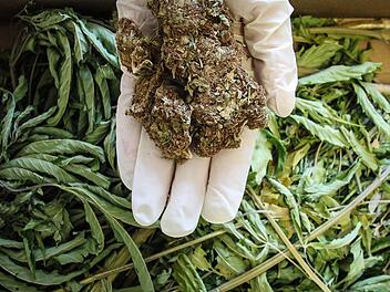 Mit Haschisch, Marihuana und Crystal soll ein 30-jähriger Kulmbacher gehandelt haben. Deswegen sitzt er zusammen mit seiner Freundin auf der Anklagebank. Foto: Symbolbild Christopher Schulz.