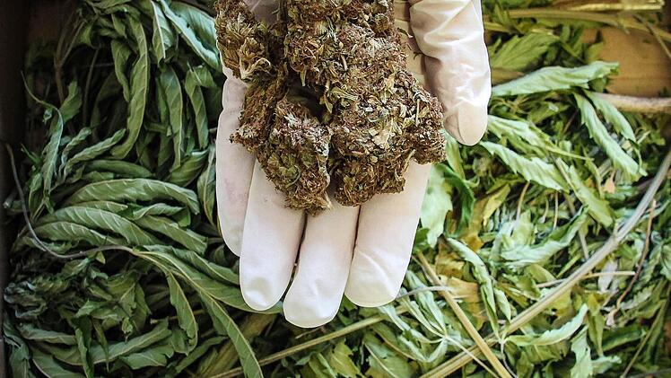 Mit Haschisch, Marihuana und Crystal soll ein 30-jähriger Kulmbacher gehandelt haben. Deswegen sitzt er zusammen mit seiner Freundin auf der Anklagebank. Foto: Symbolbild Christopher Schulz.