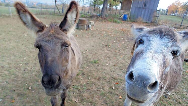 Sarah und Wanni freuen sich offensichtlich auf die Touren zugunsten des W&uuml;nschewagens. Foto: Sylvia Braun