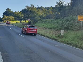 Am Hammelburger Berg an der Staatsstraße 2790 (früher B27) hat sich in zwei Bereichen die geschützte Haselmaus festgesetzt (eher hinten im Bild). Sie umzusiedeln, ist aufwendig. Foto: Steffen Standke