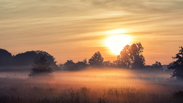 Nebel, Herbst, Sonnenschein