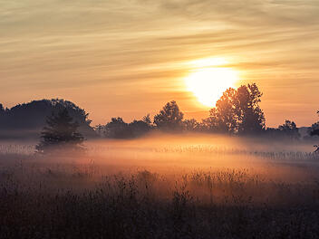 Nebel, Herbst, Sonnenschein