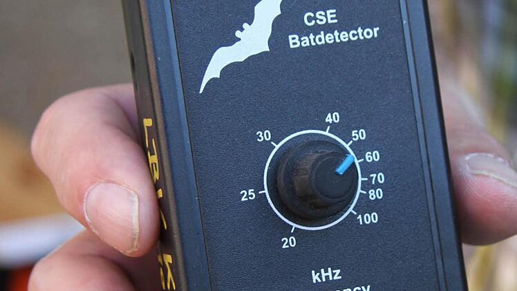 Mit dem Bat-Detektor wurden die Fledermäuse hörbar. Vor allem im Kilohertz-Bereich 45 gab es auffällig viele Tiere.
