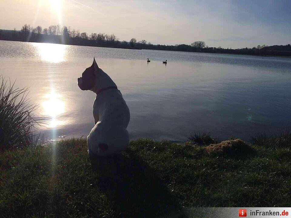 Leserbilder: Sommerliches Franken im März