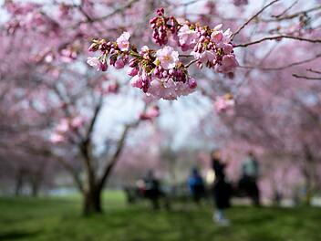 Aprilwetter in Deutschland: Erst bis zu 20 Grad - dann "Wintereinbruch"
