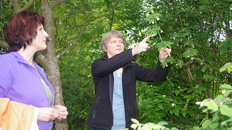 Auch die Pimpernuss schätzt Christina Zehnter sehr. Foto: Heike Schülein
