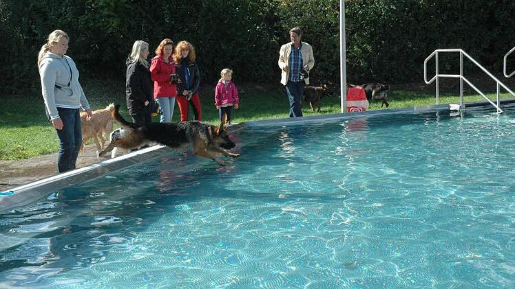 Etwa 50 badefreudige Hunde erwartete die Stadt Neustadt zu ihrem ersten Hundeschwimmen. Diese Aktion wurde von allen Vierbeinern erfreut begrüßt. Foto: Edwin Meißinger