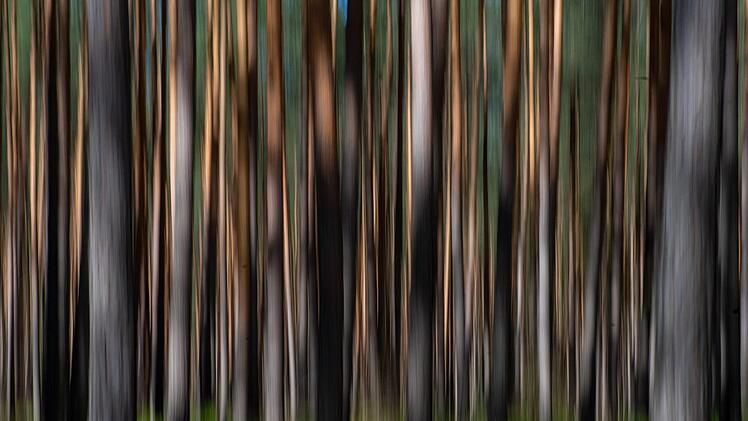 Bei einer Suchaktion am Mittwoch (8. Mai 2019) haben die Ermittler eine Leiche gefunden. Symbolbild: Monika Skolimowska/dpa