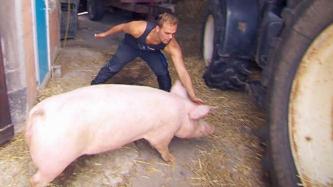 Gunther bei der Schweinejagd. Foto: RTL "Alle Infos zu "Bauer sucht Frau" im Special bei RTL.de: www.rtl.de/cms/sendungen/bauer-sucht-frau.html
