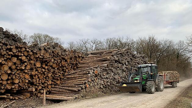 Das Holz lässt sich nun teurer verkaufen als noch vor ein paar Jahren. Foto: Kerstin Väth