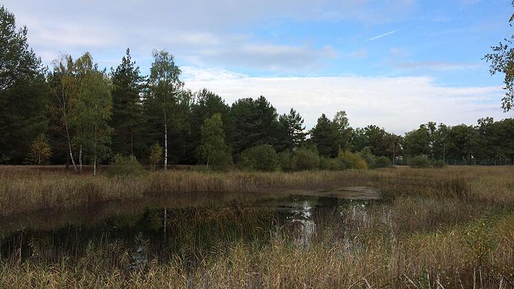 Kaum zu glauben, dass sich dieser See in Bamberg befindet. Er ist das Kernstück eines 10,9 Hektar großen Naturschutzgebiets, das künftig von Gewerbeflächen umgeben sein soll. Foto: Ronald Rinklef