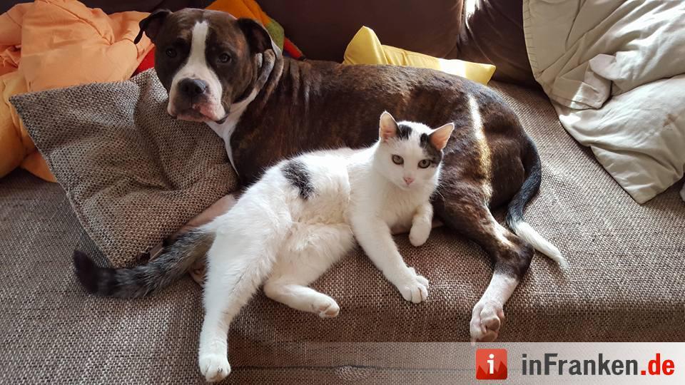 Foto: Chiara Micieli