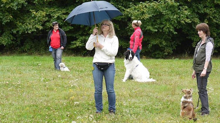 Der Hund darf vor einem Regenschirm nicht erschrecken. Foto: Pauline Lindner