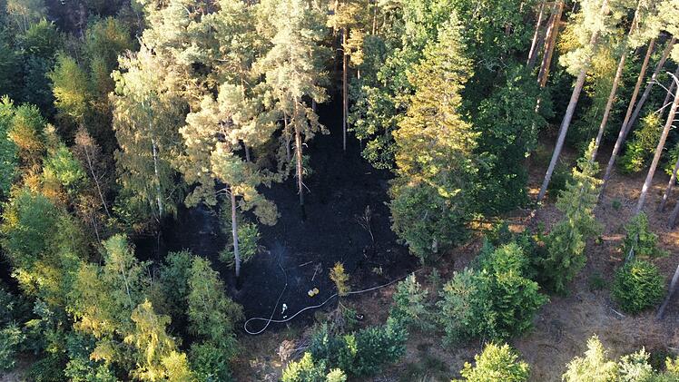 Waldbrand ruft Feuerwehr auf den Plan: Rund 20 Hektar stehen in Flammen