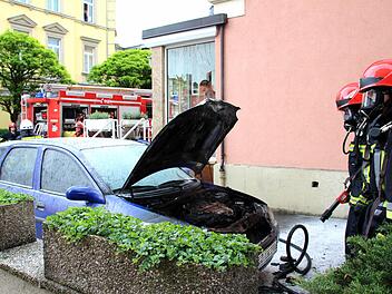 Die Feuerwehrleute hatten den Brand rasch unter Kontrolle. Foto: Helke Renner