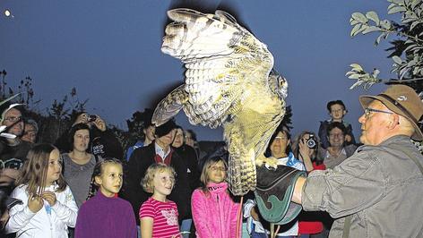 Die Jäger der Nacht an der Kiesgrube erleben