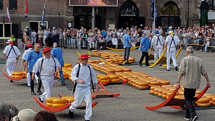 Ein richtiges Spektakel der "Kaasmarkt" in Alkmaar.