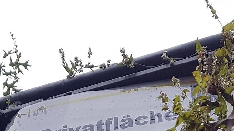 Foto: Christian Bauriedel