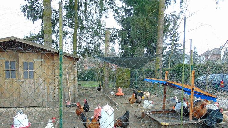 Foto: Petra Malbrich