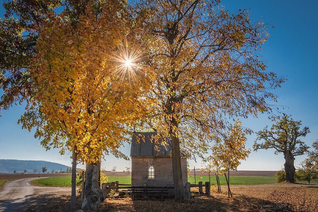 Die schönsten Fotos im Herbst aus Forchheim und Umgebung