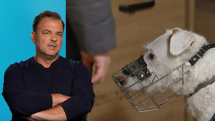 Martin R&uuml;tter hofft, dass Elvis' neue Halter ihn nicht untersch&auml;tzen.