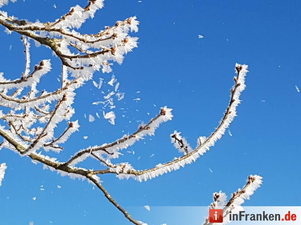 Eis und Schnee in Franken - die schönsten Winterleserfotos