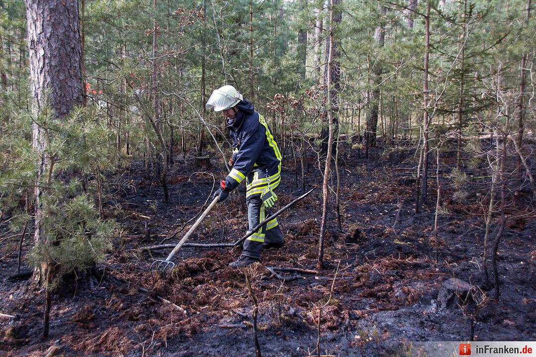 3000 Quadratmeter Waldboden standen in FlammenFeuerwehr hatte Lage schnell unter Kontrolle – Feuerwehr gibt Tipps für richtiges Verhalten im Wald aufgrund der Waldbrandgefahr