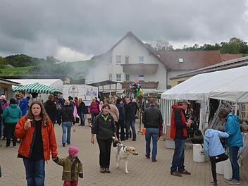 Reges Markttreiben herrschte auf dem ganzen Haflingerhof in Mürsbach.  Alle Fotos: Ronald Rinklef