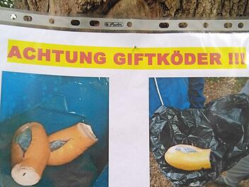 Diese Fotos von den Giftködern hängen im Kellerwald aus. Foto: privat