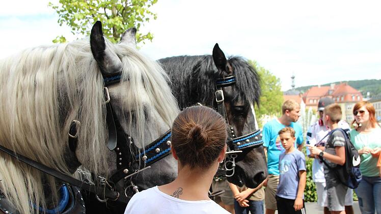 Rakoczy-Festzug 2018 Foto: Benedikt Borst