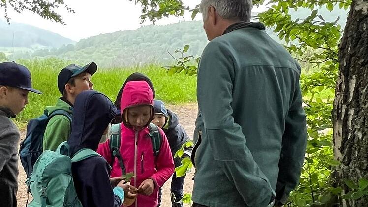 Impressionen des Waldtages. Foto: Christiane Helfrich