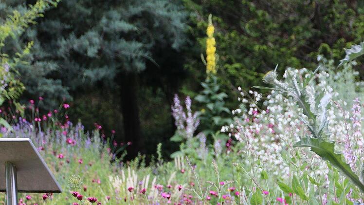 Die Vielfalt macht's im Aromagarten...Diana Fuchs
