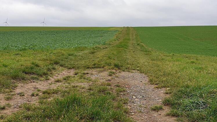 Das erste Projekt der Allianz "Main & Haßberge" wird ein landwirtschaftliches Kernwegenetz sein. Für die Gemeinde Gädheim wurden die möglichen Kernwege (im Bild der Weg von der Kreisstraße HAS 2 nach Wagenhausen und zur B 26) festgelegt.U. Langer