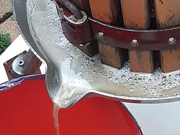 Die Saftpresse ist gelaufen beim Treffen der "Frechen Früchtchen" des Obst- und Gartenbauvereins Thulba. Foto: Sabine Rügamer