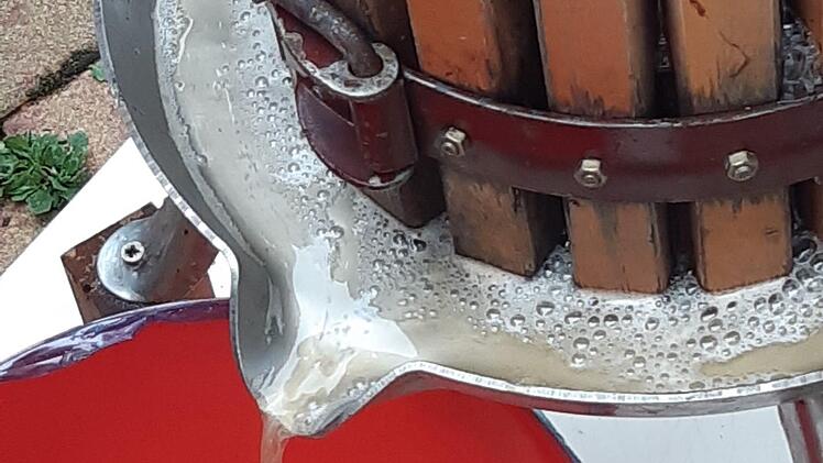 Die Saftpresse ist gelaufen beim Treffen der "Frechen Früchtchen" des Obst- und Gartenbauvereins Thulba. Foto: Sabine Rügamer