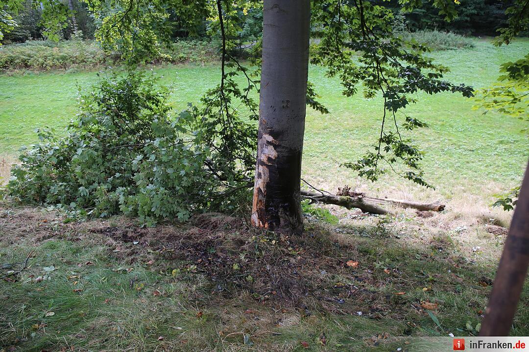 Kreis Hof: 27-Jähriger  prallt mit Auto gegen Baum und stirbt