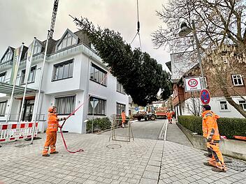 Ahorn: Winterzauber in der Gemeinde - Christbäume, Dorfweihnacht und Co. warten