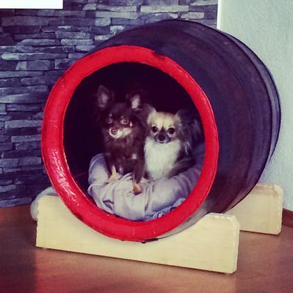 Foto: Bambina