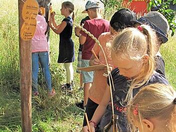 Die "Stadtoase" bietet vielfältige Aktivitäten für Kinder.  Foto: Archiv