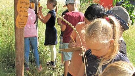 Die "Stadtoase" bietet vielfältige Aktivitäten für Kinder.  Foto: Archiv