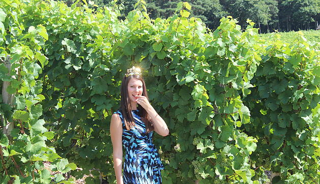 Weinregion m. Strahlkraft