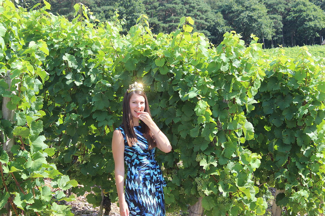 Weinregion m. Strahlkraft