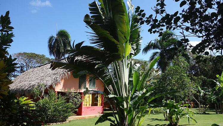 Dank Recherche per Laptop und Flexibilität ist es Jochen und Angela Schirmer gelungen, in letzter Minute über den Flughafen Punta Cana auszureisen.  Foto: privat