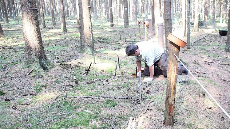 Marcus Hollederer holt die Messeinrichtung aus dem in den Waldboden eingelassenen Rohr...  Foto: Friedwald Schedel