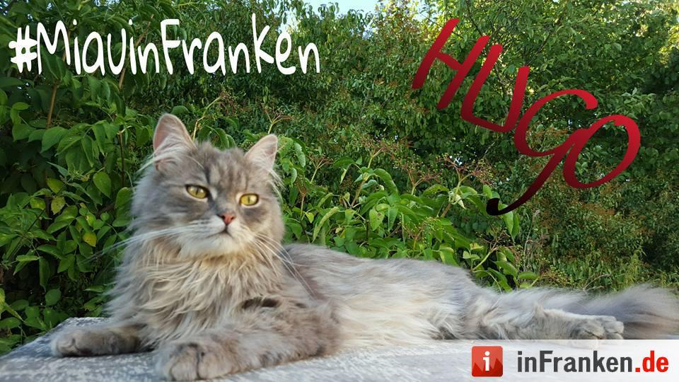 Foto: Patrick Havanna Glubb